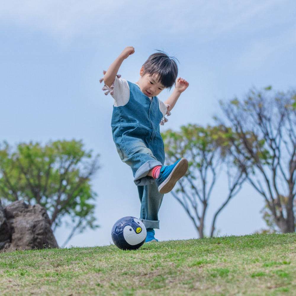 幼児用ボール】FOOTBALL ZOO AIRLESS パンダ SB-25ZA01｜sfida Online