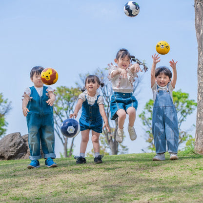 FOOTBALL ZOO AIRLESS  トラ