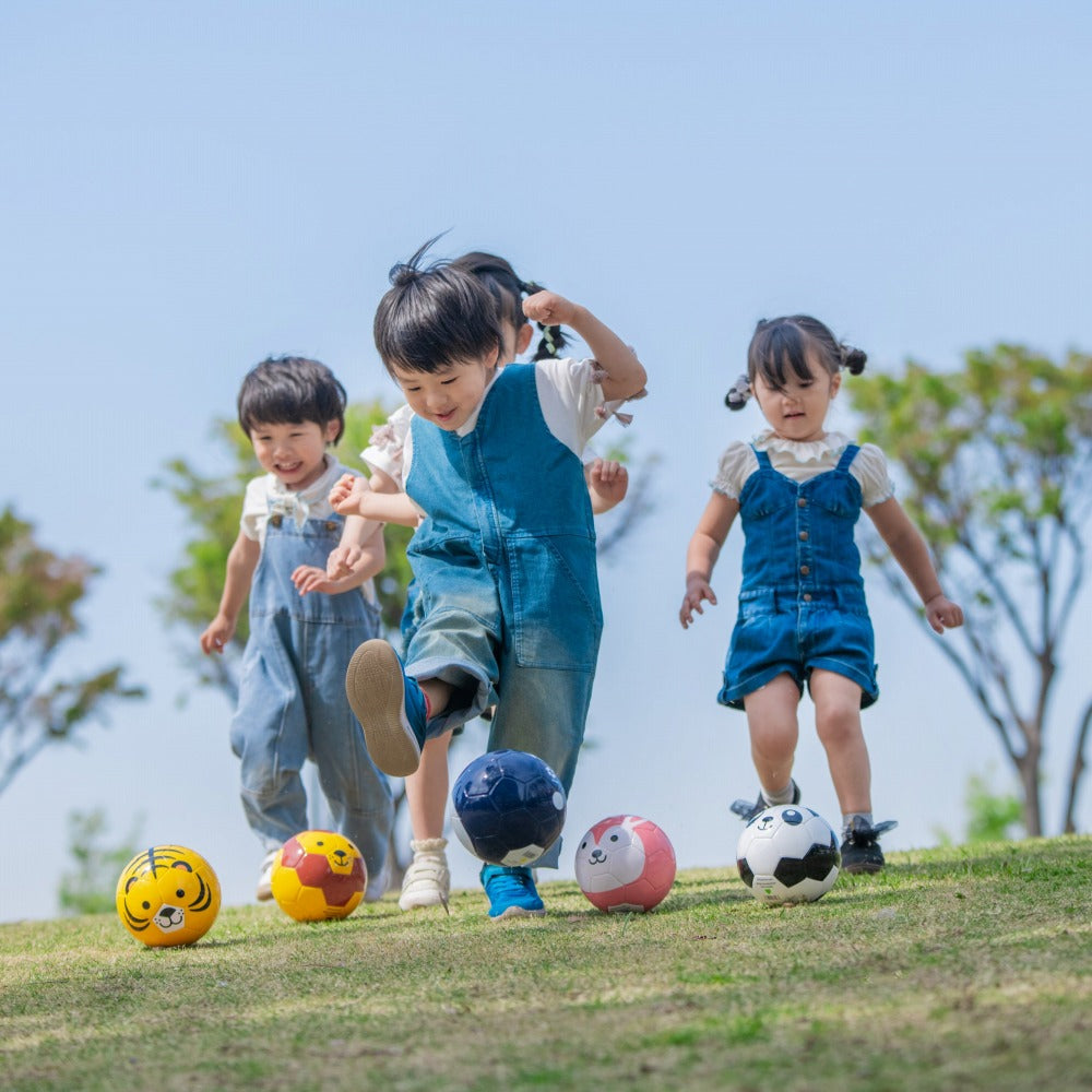 FOOTBALL ZOO AIRLESS  トラ