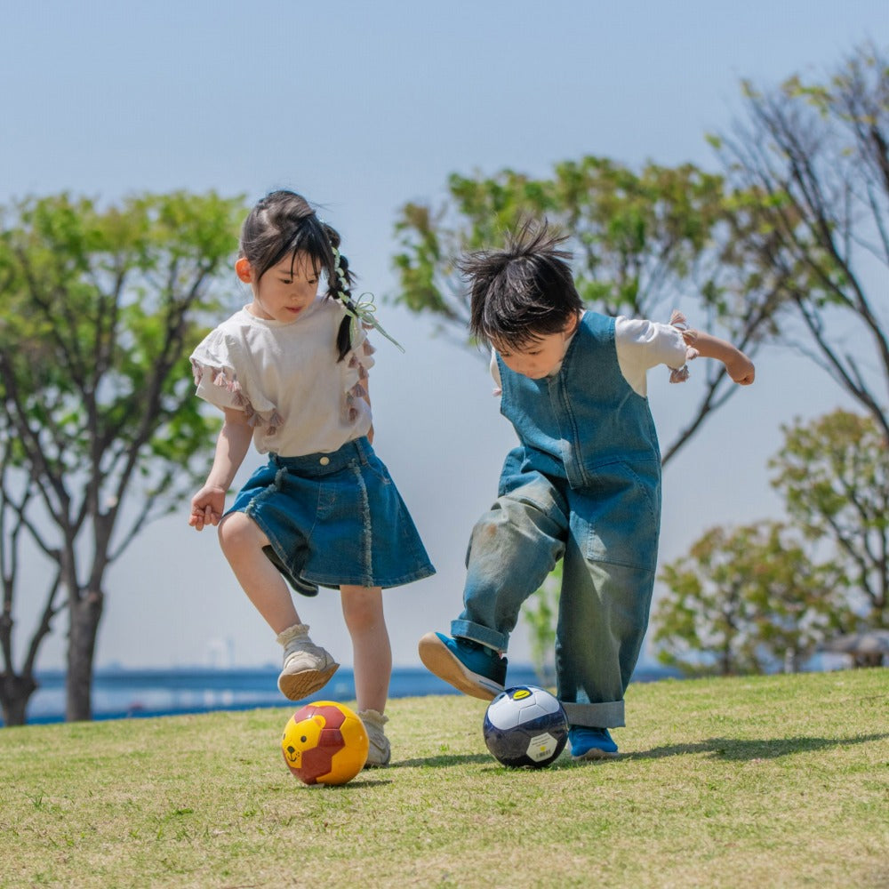 FOOTBALL ZOO AIRLESS  ライオン