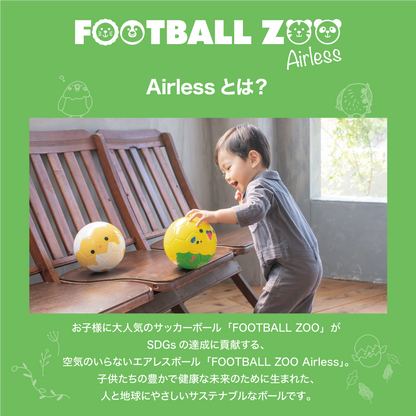 Football Zoo Airless  インコ