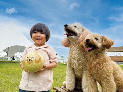 Football Zoo Airless  プードル