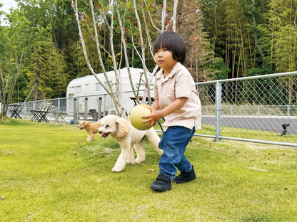 Football Zoo Airless  プードル