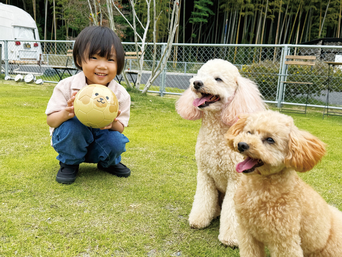 Football Zoo Airless  プードル