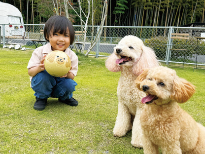 Football Zoo Airless  プードル