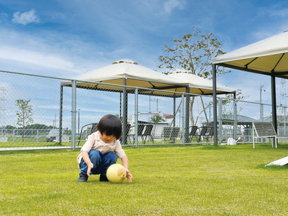 Football Zoo Airless  プードル