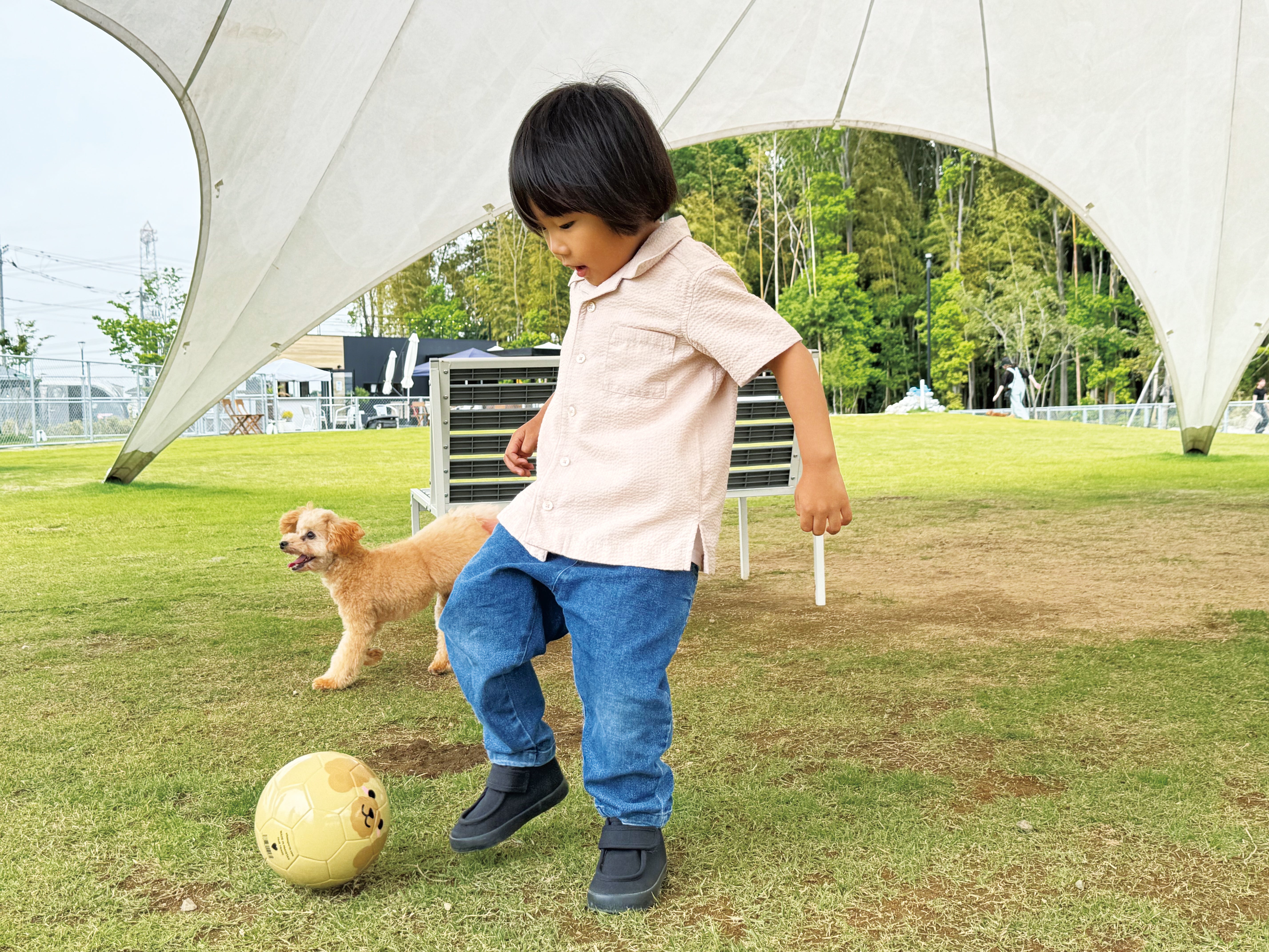 幼児用ボール】FOOTBALL ZOO Airless プードル SB-23ZA01｜sfida