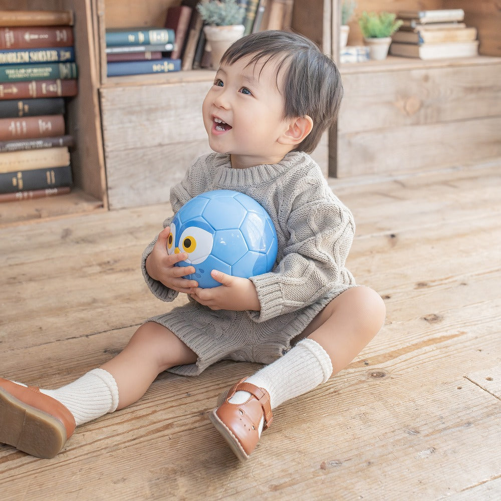 幼児用ボール】FOOTBALL ZOO Airless フクロウ SB-23ZA01｜sfida