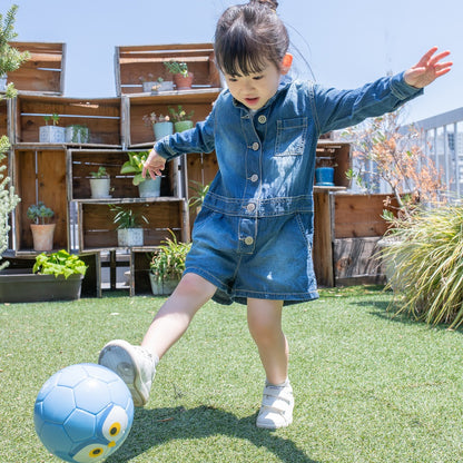 Football Zoo Airless  フクロウ