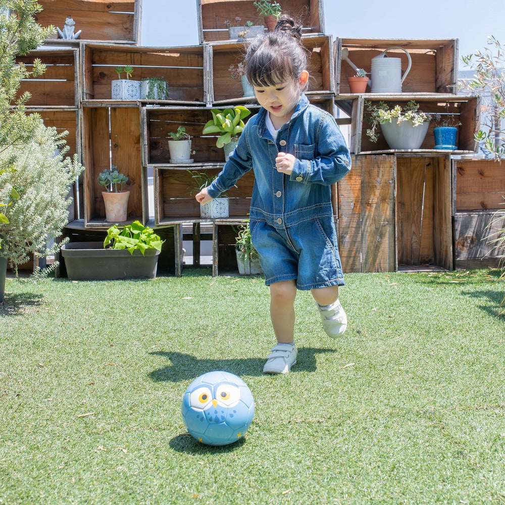 Football Zoo Airless  フクロウ
