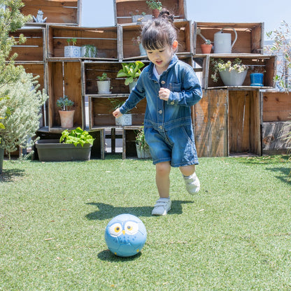 Football Zoo Airless  フクロウ