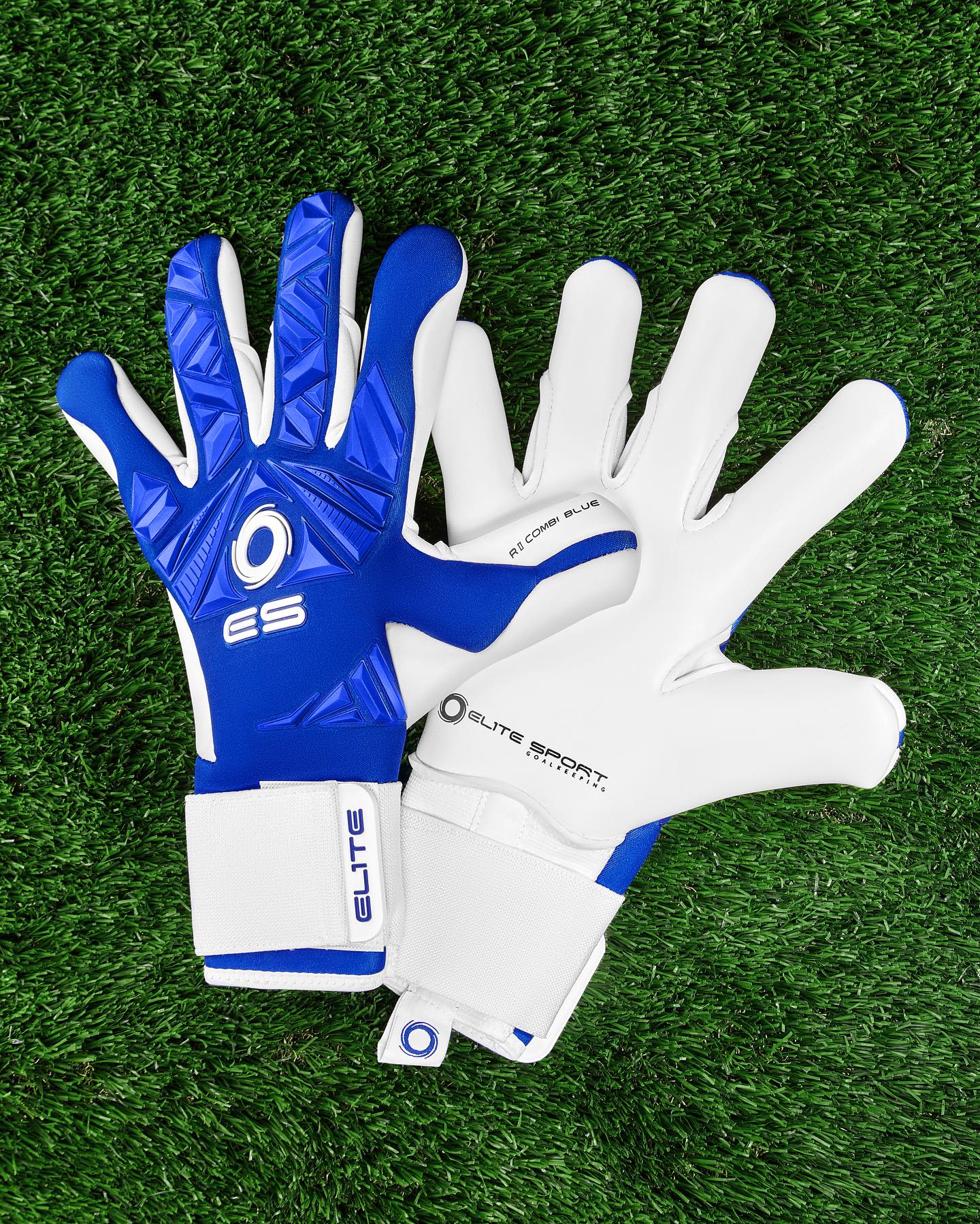 ELITE REVOLUTION II COMBI BLUE ELG-24802｜sfida Online Store