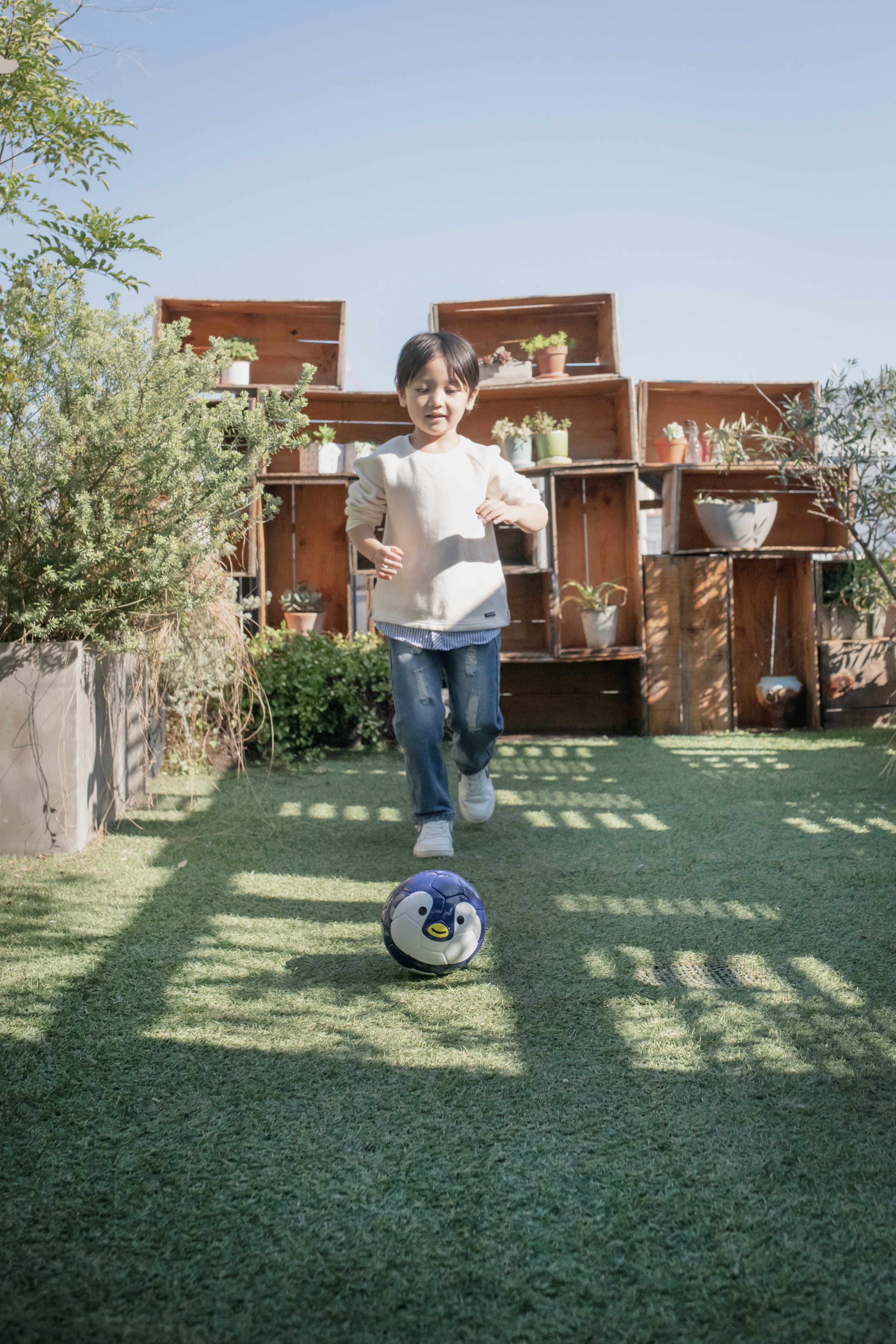 幼児用ボール】FOOTBALL ZOO ハリネズミ BSF-ZOO06｜sfida Online
