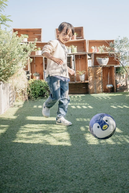 FOOTBALL ZOO ハリネズミ