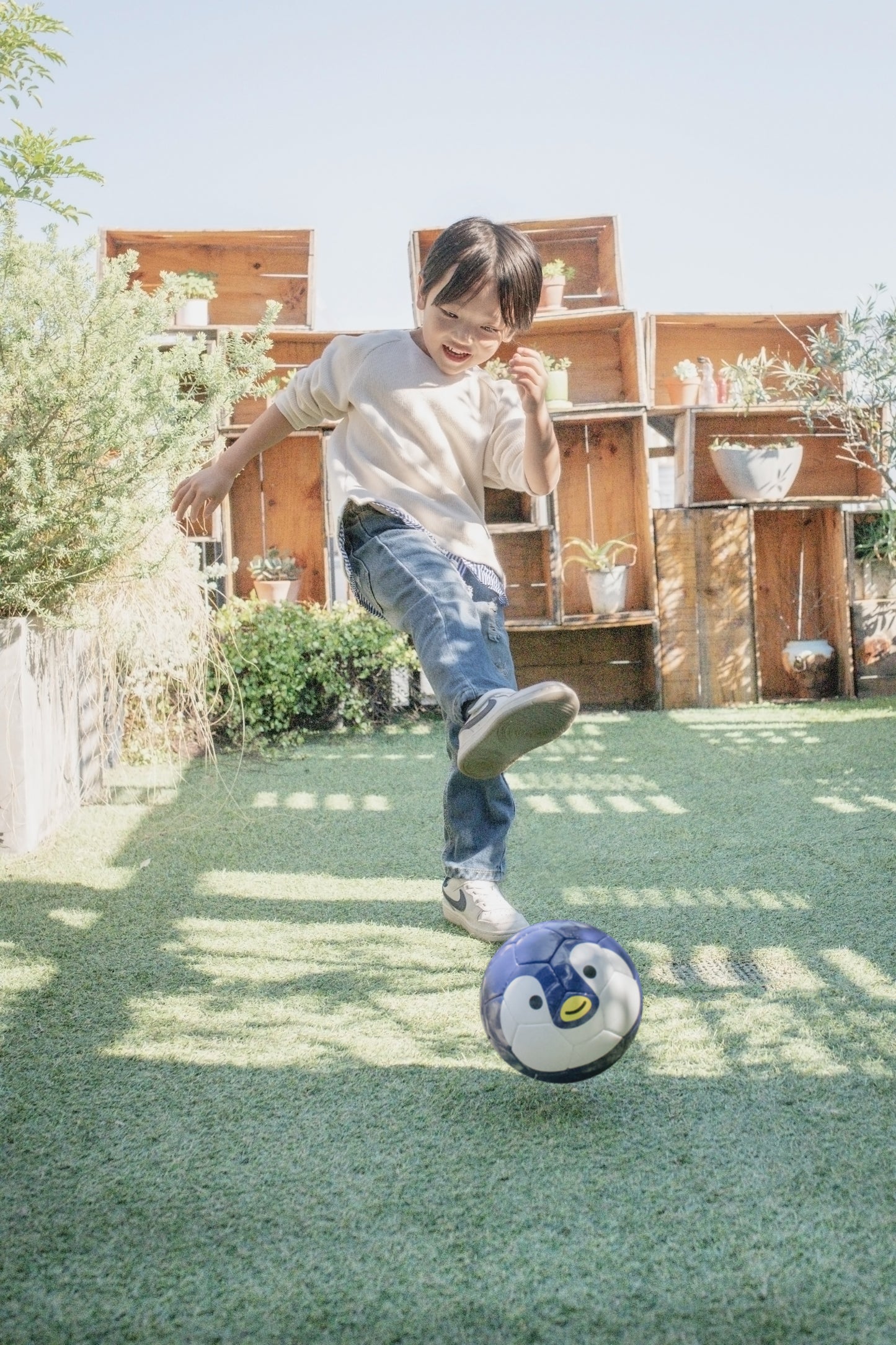 FOOTBALL ZOO ハリネズミ
