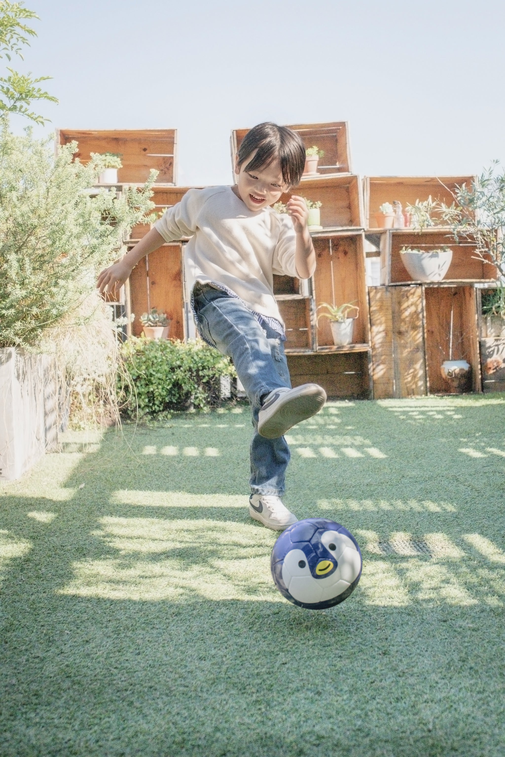 Sfida（スフィーダ） 幼児用 サッカーボール1号球 Football Zoo